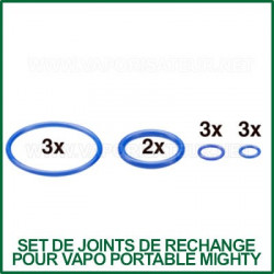 Kit de joints de rechange pour vaporizer portable Mighty