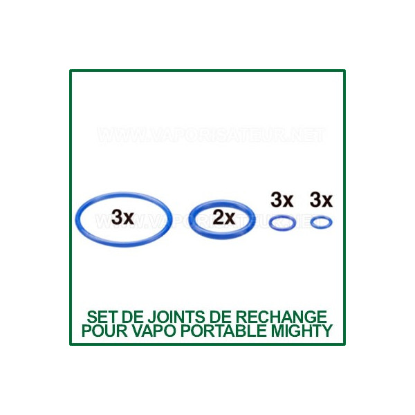 Set de joints toriques pour vapo portable Mighty