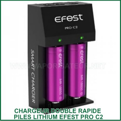 Chargeur Express accus lithium PRO C2 EFEST