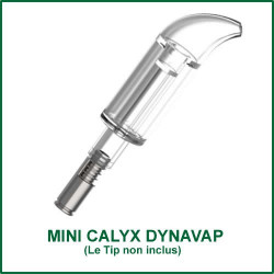Mini Calyx pour vaporizers DynaVap - petit bubbler miniature Mini Calyx pour vaporizers DynaVap - petit bubbler miniature
