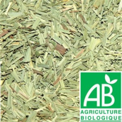 Citronnelle Bio plante séchée Citronnelle Bio plante séchée