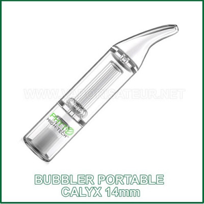 Bubbler Calyx 14mm outil de filtration portable pour vaporisateurs