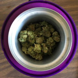 Infuseur Compact d'herbes sèches Ardent Nova - Vaporisateur.net