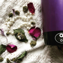 Infuseur Compact d'herbes sèches Ardent Nova - Vaporisateur.net