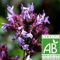 Marjolaine Bio Ecocert feuilles séchées 30gr Marjolaine Bio Ecocert feuilles séchées 30gr