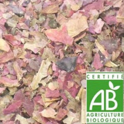 Vigne Rouge Bio en vrac sachet de 30gr Vigne Rouge Bio en vrac sachet de 30gr