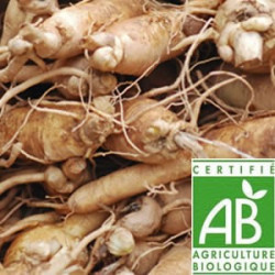 Ginseng Blanc Bio en sachet de 30gr Ginseng Blanc Bio en sachet de 30gr