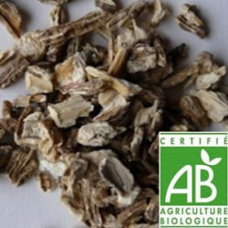 Angélique Bio Racine en vrac sachet de 30gr Angélique Bio Racine en vrac sachet de 30gr