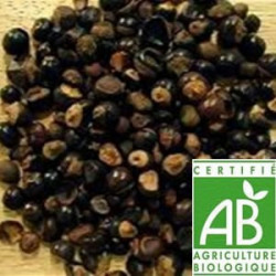Guarana Bio Ecocert graines semi-ecrasées 30gr Guarana Bio Ecocert graines semi-ecrasées 30gr