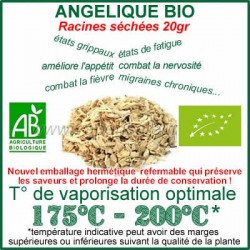 Angélique Biologique à vaporiser sachet de 20gr Angélique Biologique à vaporiser sachet de 20gr