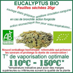 Eucalyptus Bio pour vaporisateur feuilles séchées 20gr Eucalyptus Bio pour vaporisateur feuilles séchées 20gr