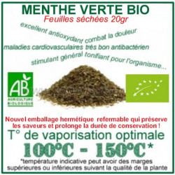 Herbe médicinale à vaporiser Menthe Verte Menthe Nannah Bio feuilles séchées Herbe médicinale à vaporiser Menthe Verte Menthe Nannah Bio feuilles séchées