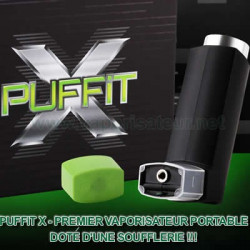 PUFFiT X Vaporisateur portable de Discreet Vape