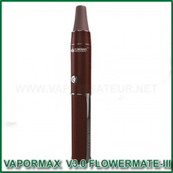 Vaporisateur stylo Vapormax V3 Flowermate-III