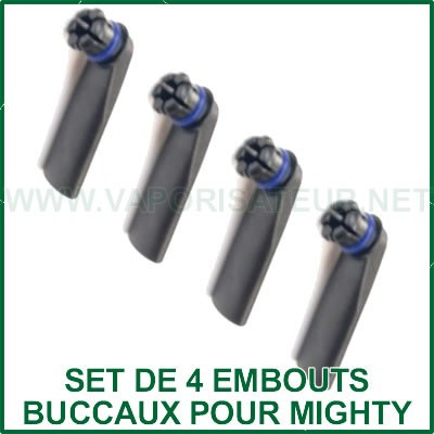 Pack de 4 embouts de vaporisation pour vaporizer Mighty