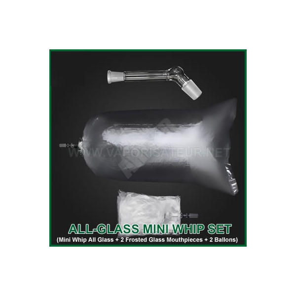 All-Glass Mini Whip Set - Set connexion ballon verre Extreme Q