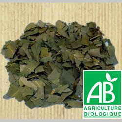 Eucalyptus feuilles séchées 100gr Eucalyptus feuilles séchées 100gr